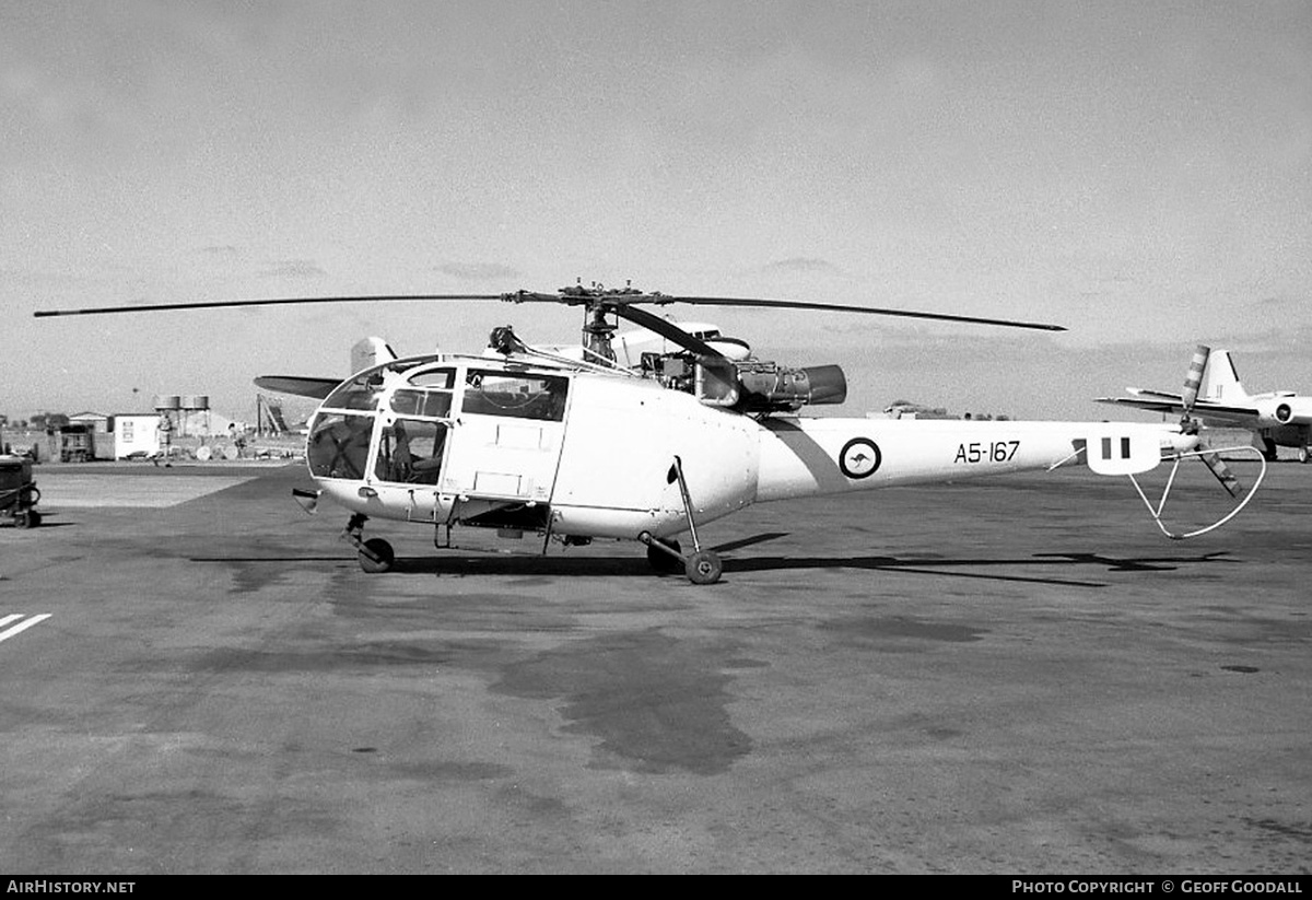 Aircraft Photo of A5-167 | Sud SA-316B Alouette III | Australia - Air Force | AirHistory.net #256222