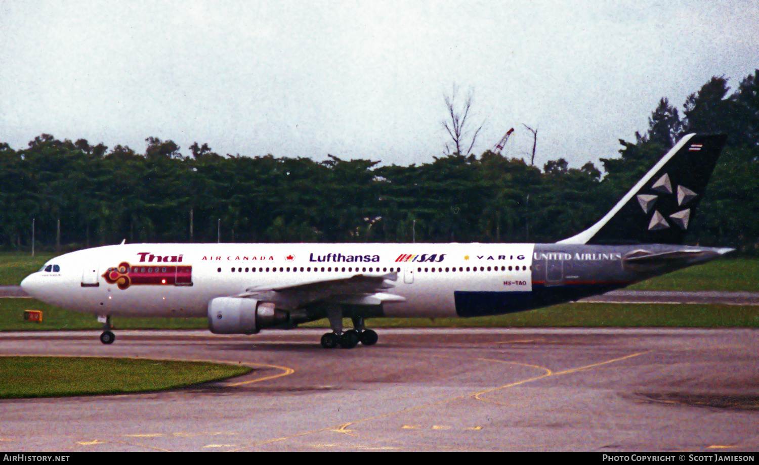 Aircraft Photo of HS-TAO | Airbus A300B4-622R | Thai Airways International | AirHistory.net #257839