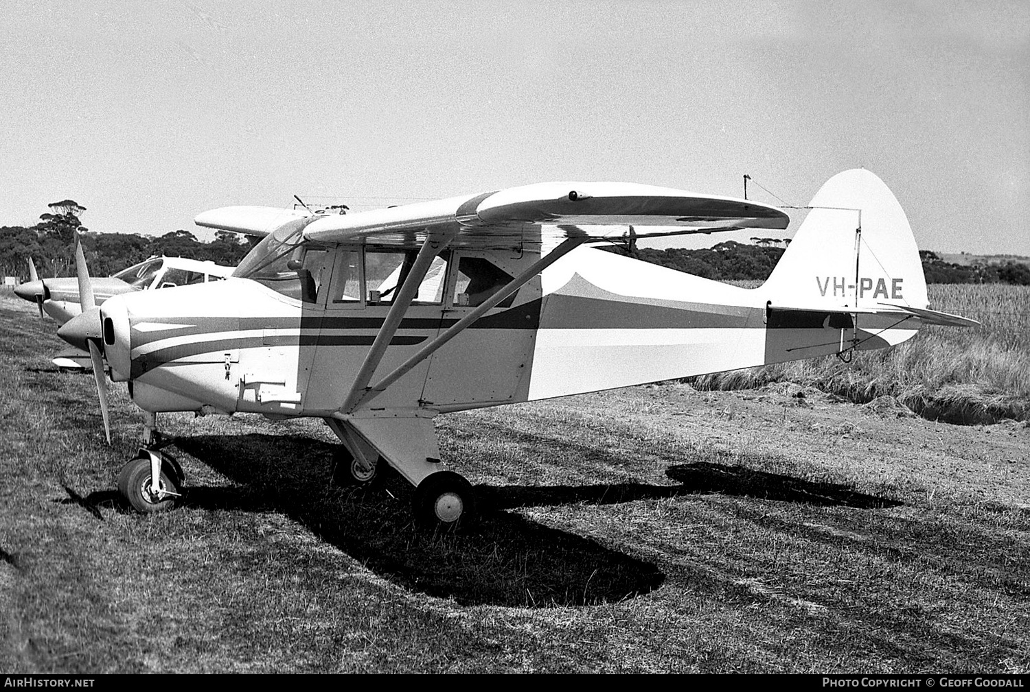 Aircraft Photo of VH-PAE | Piper PA-22-160 Tri-Pacer | AirHistory.net #259041