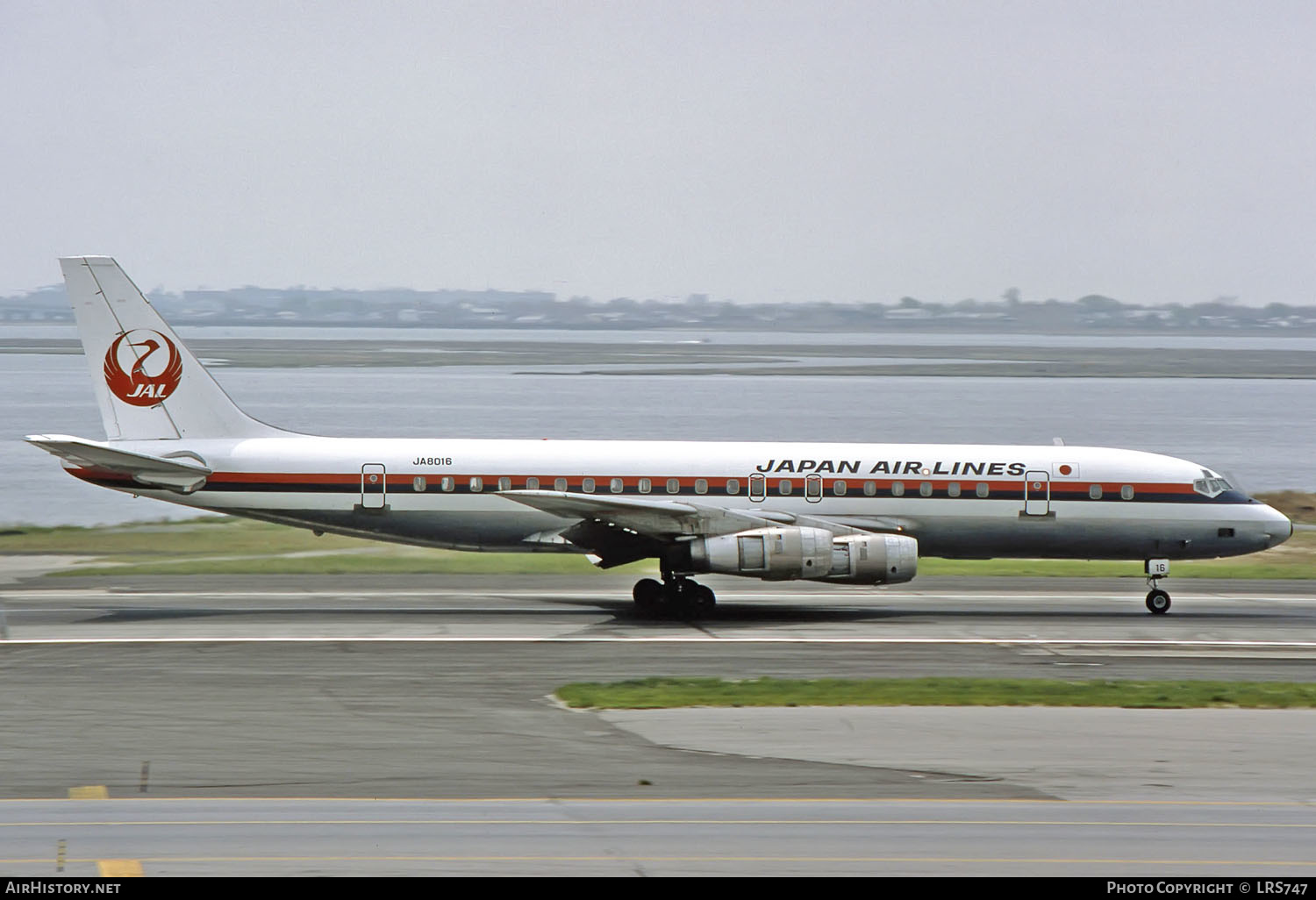Aircraft Photo of JA8016 | Douglas DC-8-55 | Japan Air Lines - JAL | AirHistory.net #259571