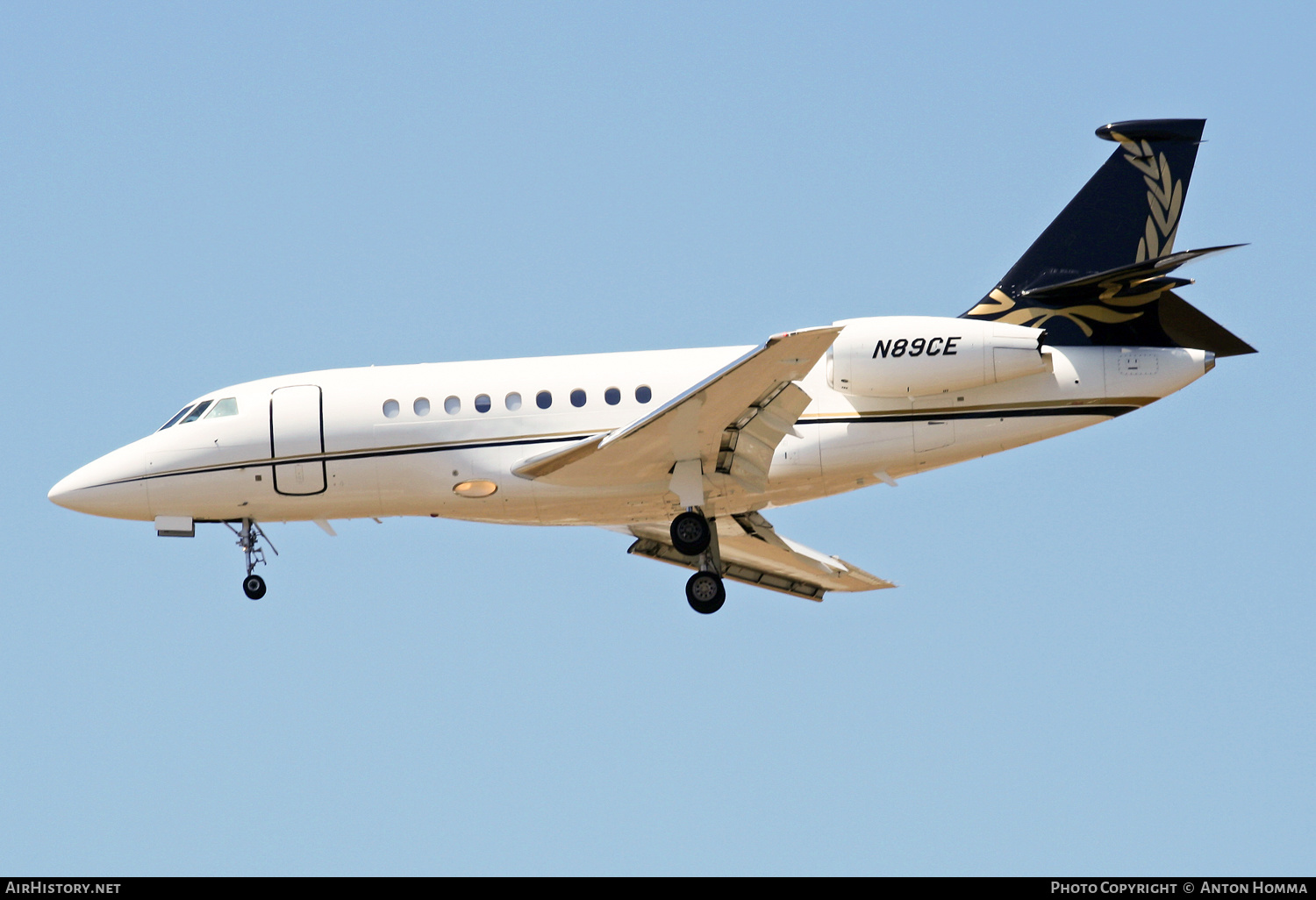 Aircraft Photo of N89CE | Dassault Falcon 2000EX EASy | AirHistory.net #259974