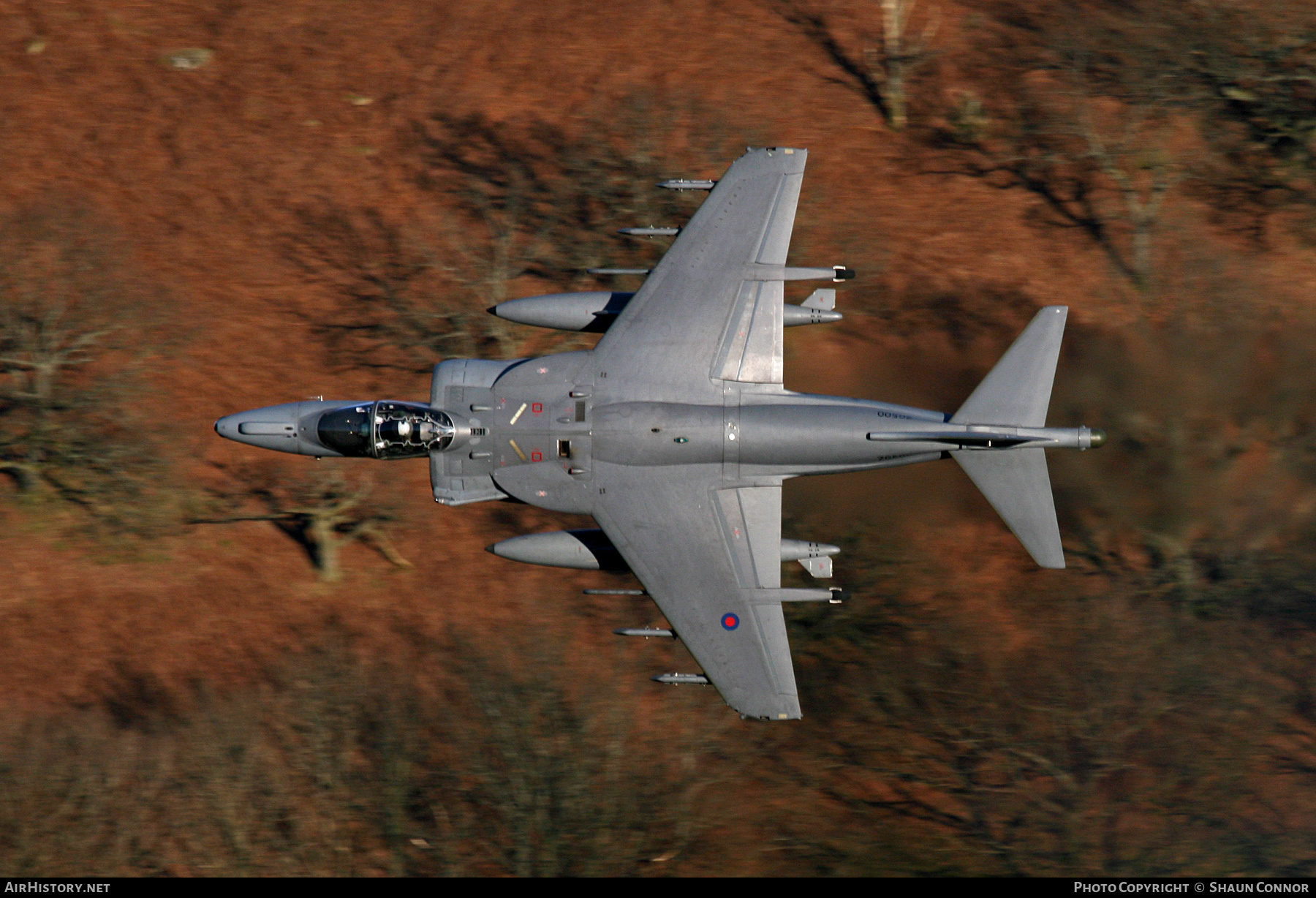 Aircraft Photo of ZG500 | British Aerospace Harrier GR9A | UK - Air Force | AirHistory.net #260985