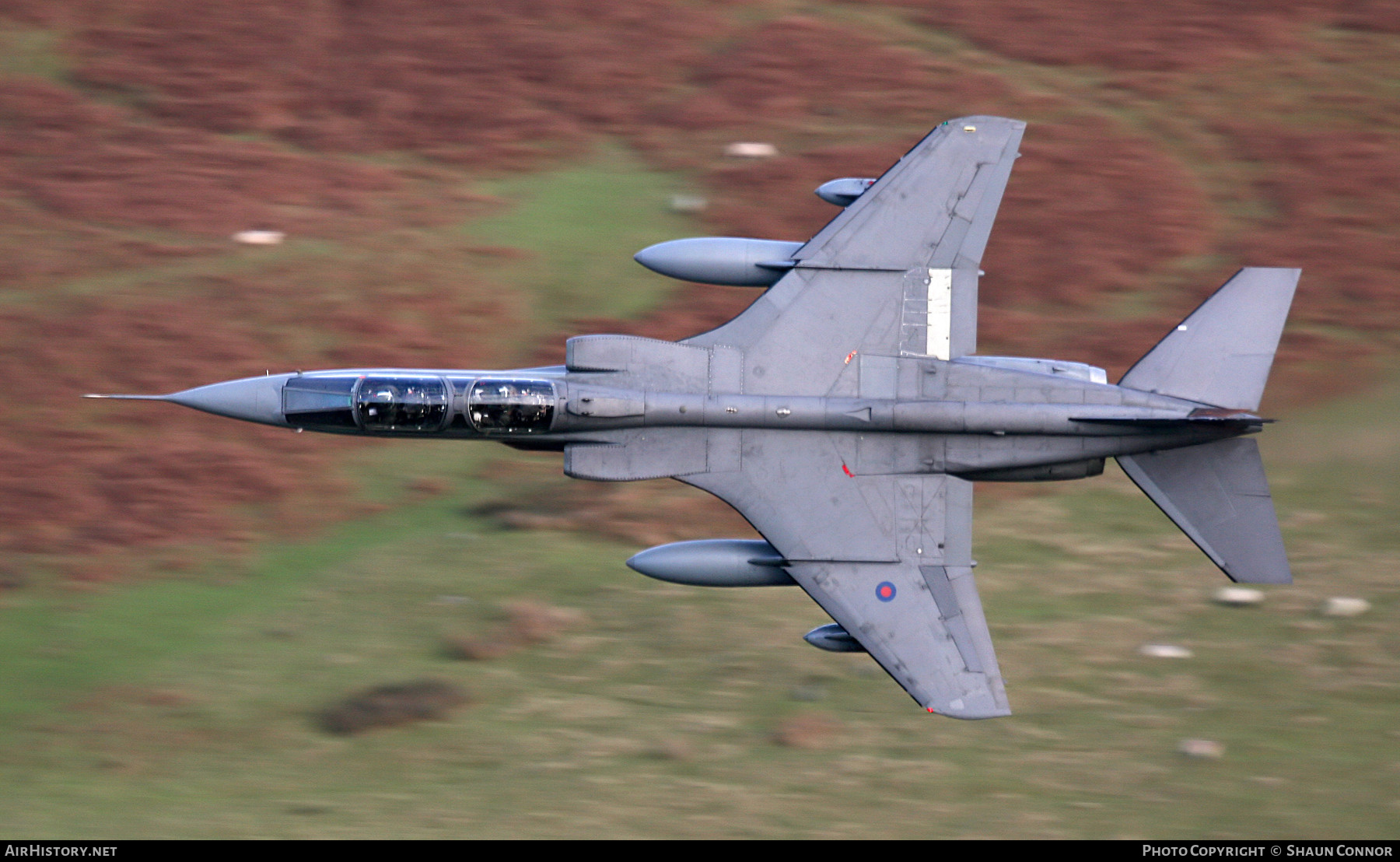 Aircraft Photo of XX835 | Sepecat Jaguar T4 | UK - Air Force | AirHistory.net #261037