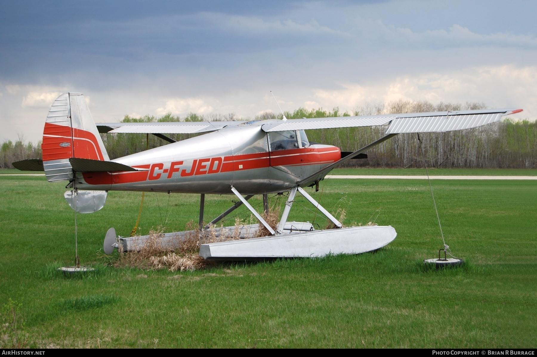 Aircraft Photo of C-FJED | Luscombe 8E Silvaire | AirHistory.net #261453