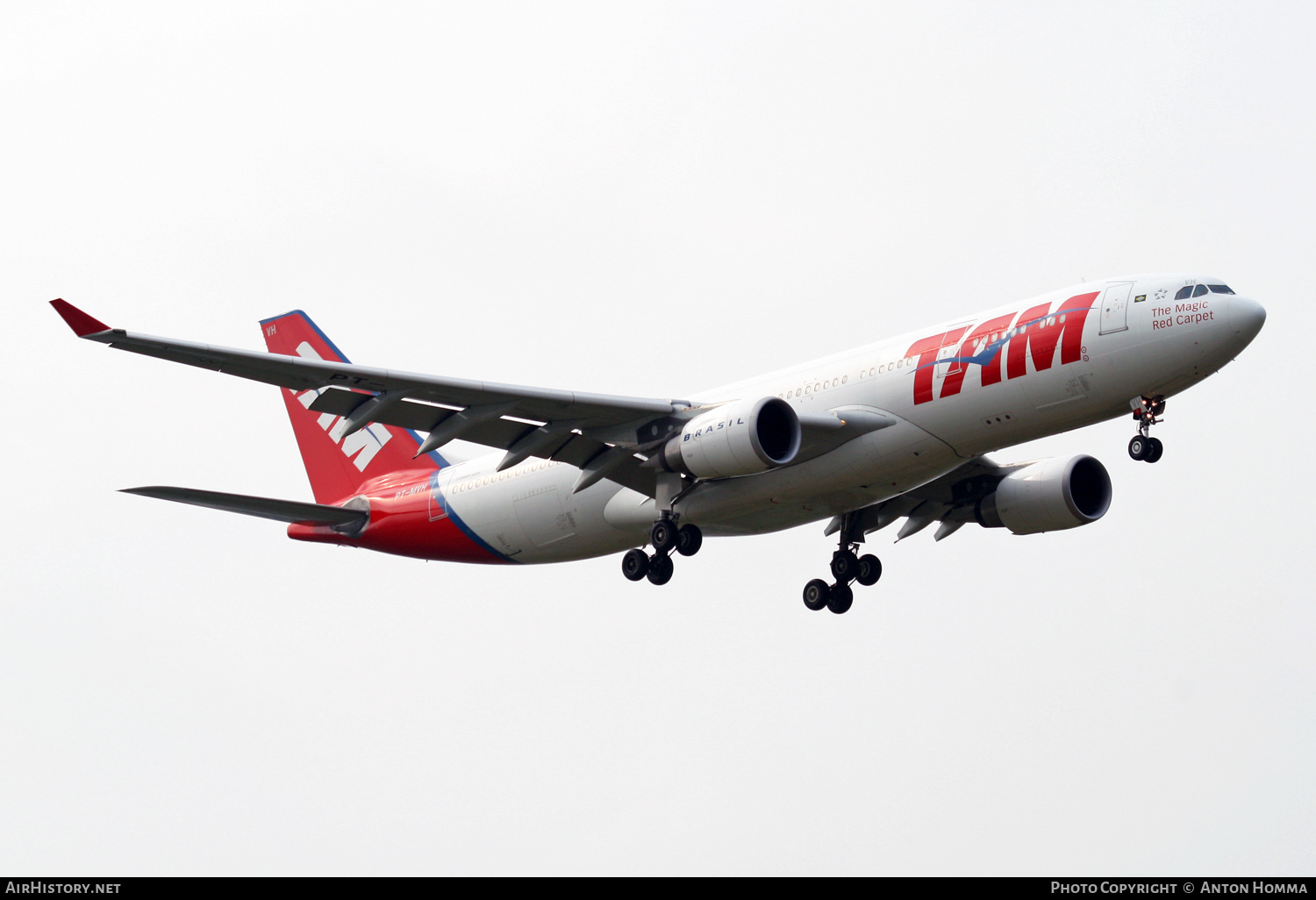 Aircraft Photo of PT-MVH | Airbus A330-203 | TAM Linhas Aéreas | AirHistory.net #261535