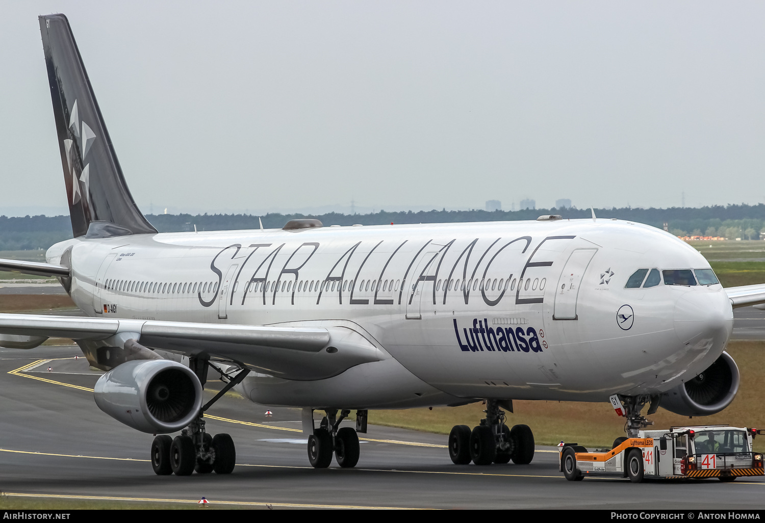 Aircraft Photo of D-AIGY | Airbus A340-313 | Lufthansa | AirHistory.net #263320