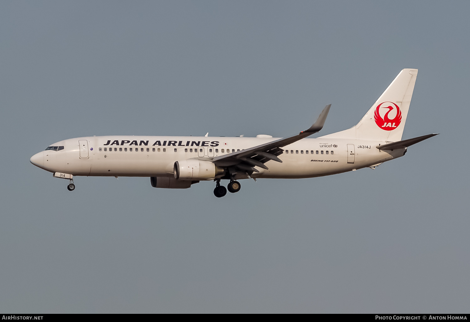 Aircraft Photo of JA314J | Boeing 737-846 | Japan Airlines - JAL | AirHistory.net #263781