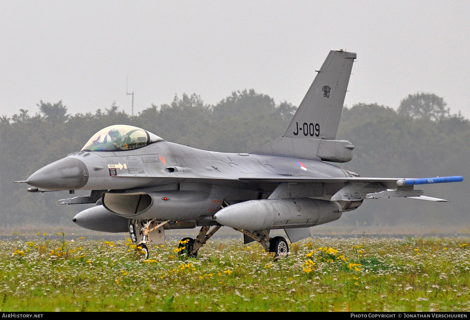 Aircraft Photo of J-009 | General Dynamics F-16AM Fighting Falcon | Netherlands - Air Force | AirHistory.net #264026
