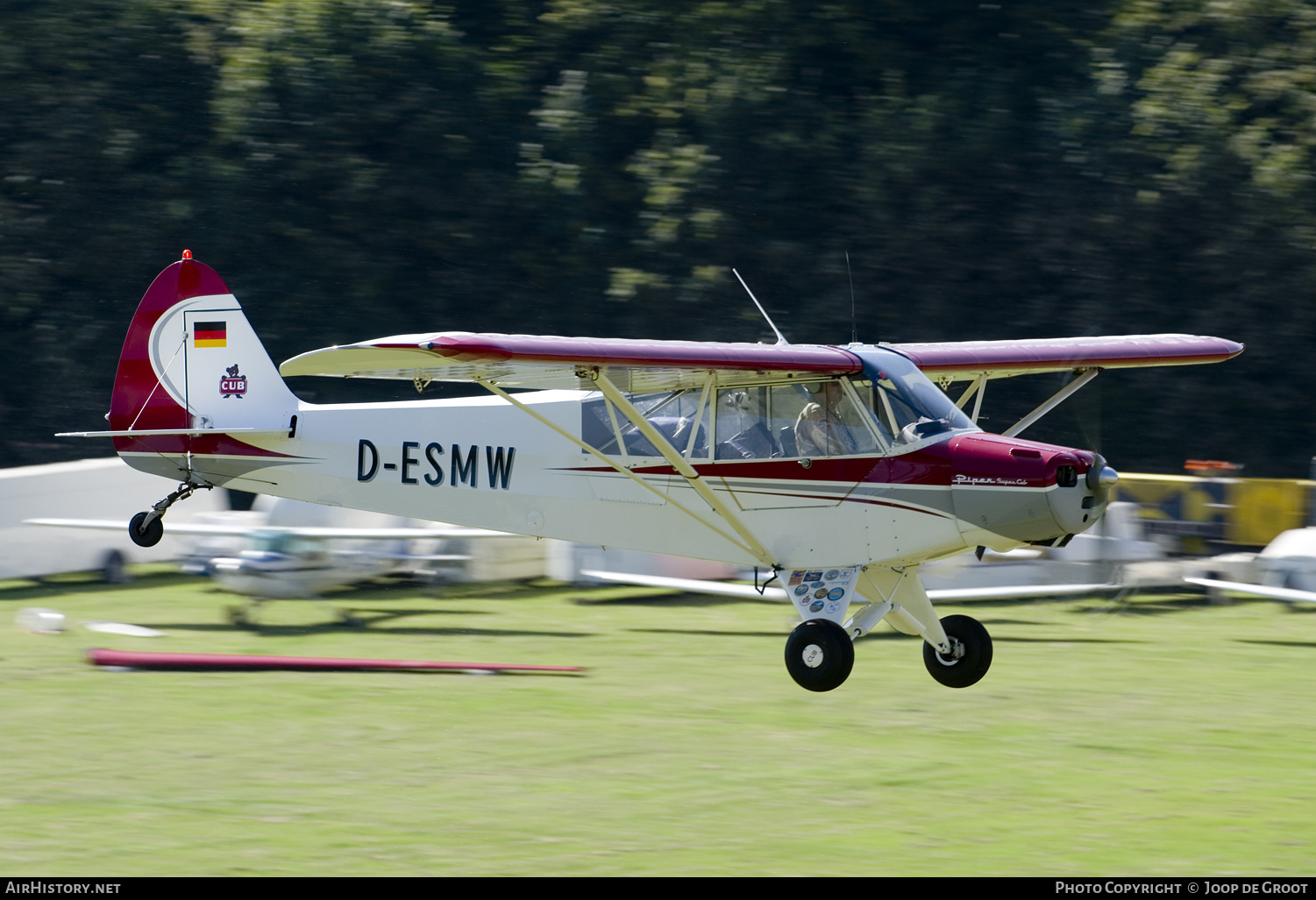 Aircraft Photo of D-ESMW | Piper PA-18-95 Super Cub | AirHistory.net #264351