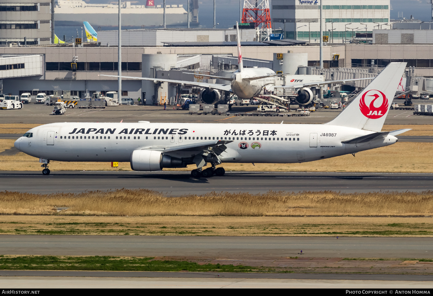 Aircraft Photo of JA8987 | Boeing 767-346 | Japan Airlines - JAL | AirHistory.net #264812