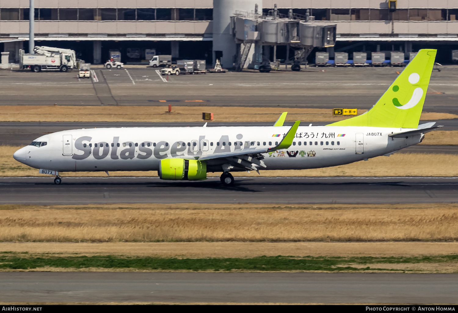 Aircraft Photo of JA807X | Boeing 737-81D | Solaseed Air | AirHistory.net #264870
