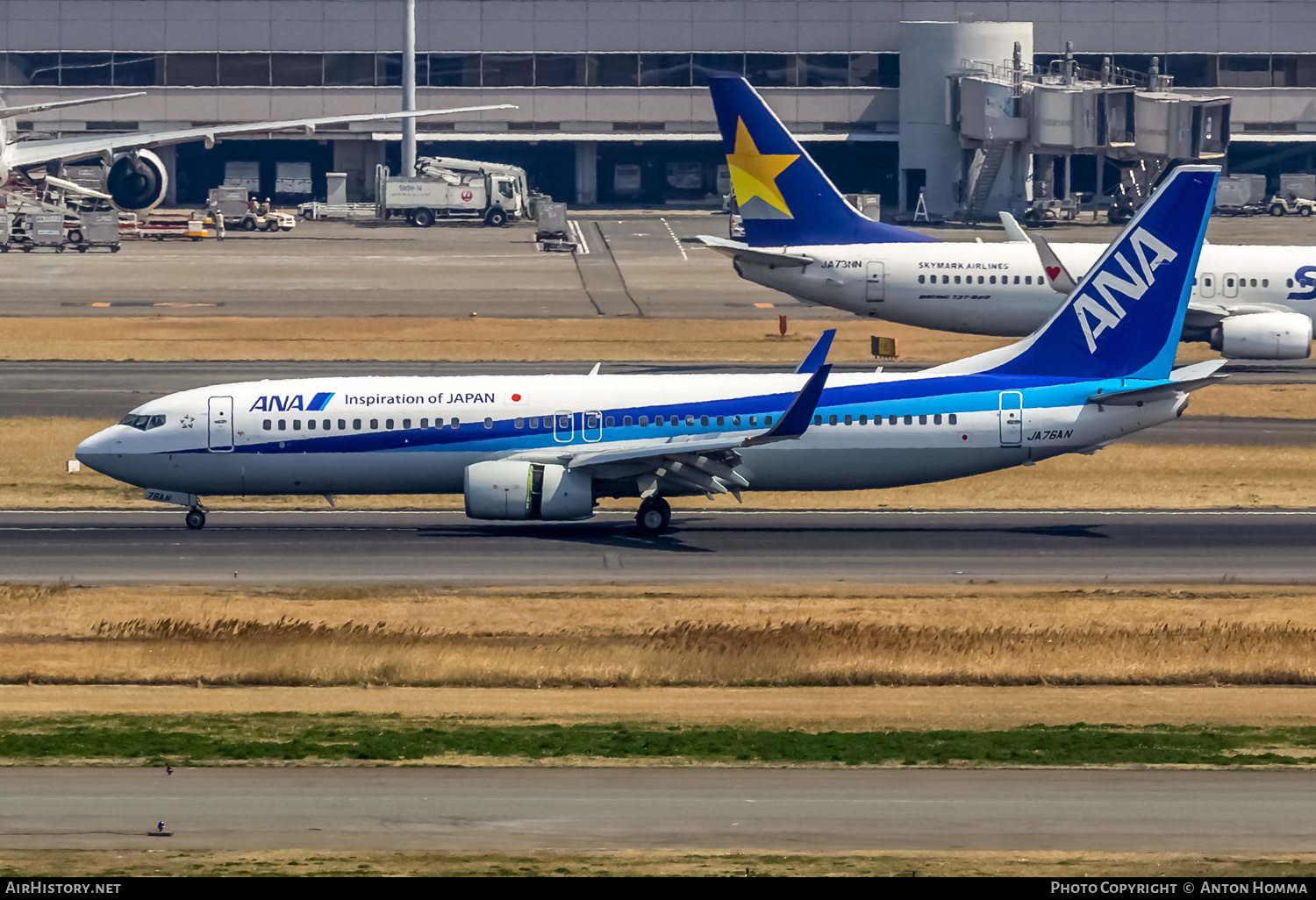 Aircraft Photo of JA76AN | Boeing 737-881 | All Nippon Airways - ANA | AirHistory.net #264929
