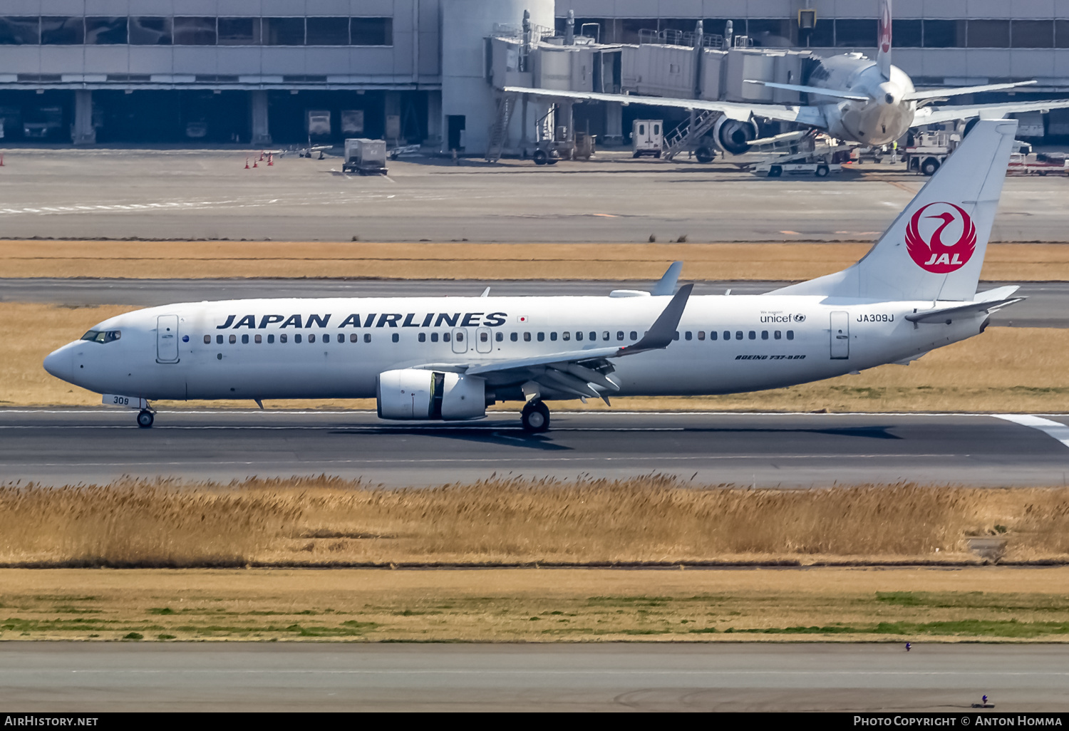 Aircraft Photo of JA309J | Boeing 737-846 | Japan Airlines - JAL | AirHistory.net #264975