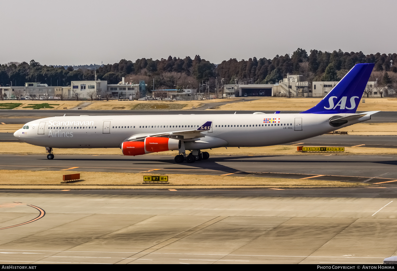 Aircraft Photo of LN-RKG | Airbus A340-313X | Scandinavian Airlines - SAS | AirHistory.net #265040