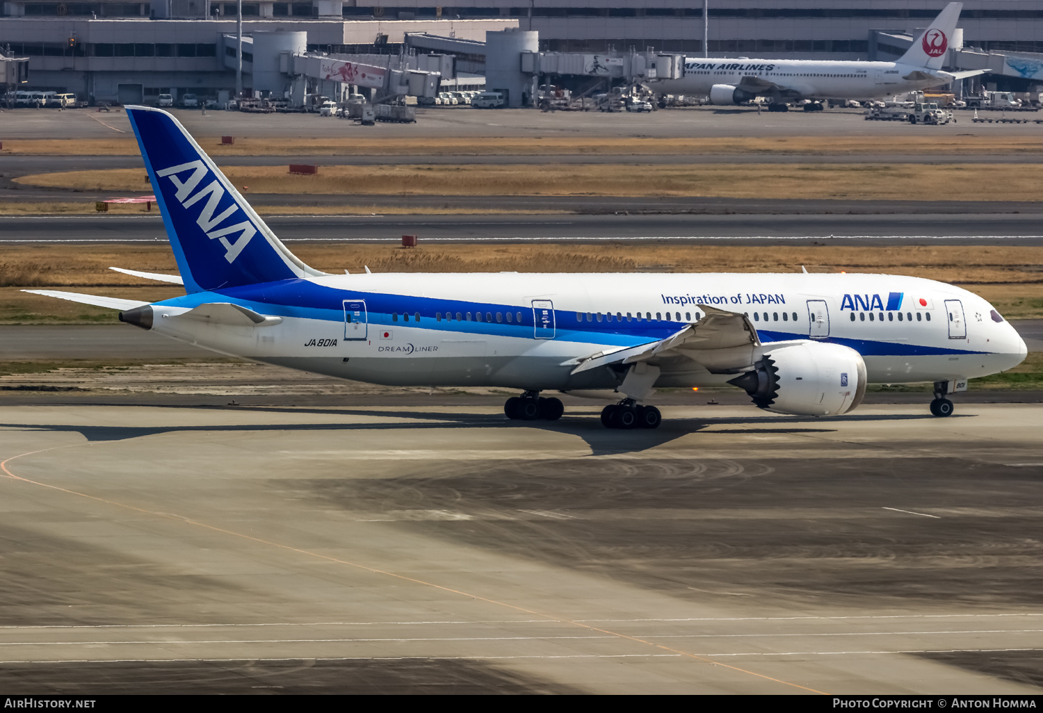 Aircraft Photo of JA801A | Boeing 787-8 Dreamliner | All Nippon Airways - ANA | AirHistory.net #265079