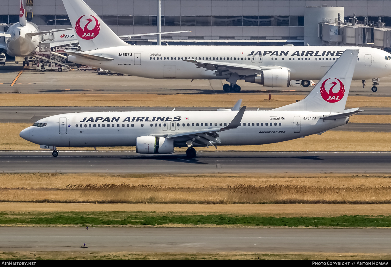 Aircraft Photo of JA347J | Boeing 737-846 | Japan Airlines - JAL | AirHistory.net #265083