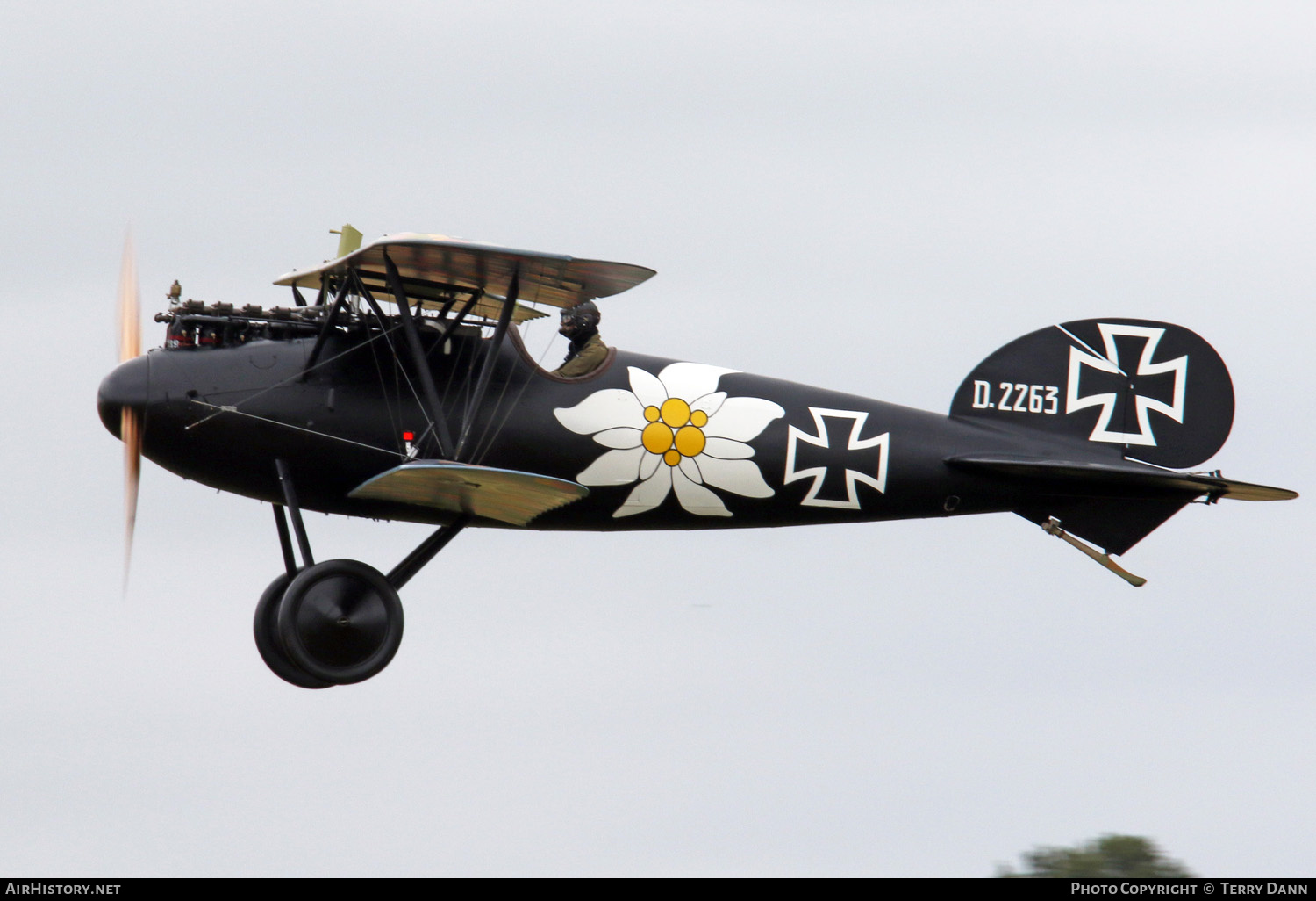Aircraft Photo of G-WAHT / D.2263 | Albatros D-Va1 (Replica) | Germany - Air Force | AirHistory.net #265138