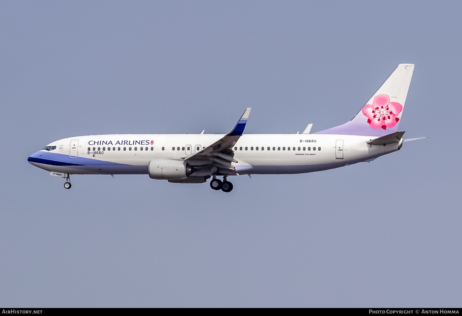 Aircraft Photo of B-18660 | Boeing 737-8SH | China Airlines | AirHistory.net #265217