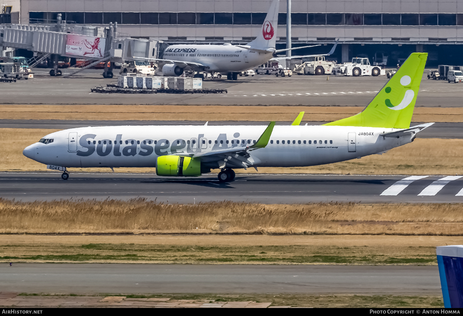 Aircraft Photo of JA804X | Boeing 737-86N | Solaseed Air | AirHistory.net #265244