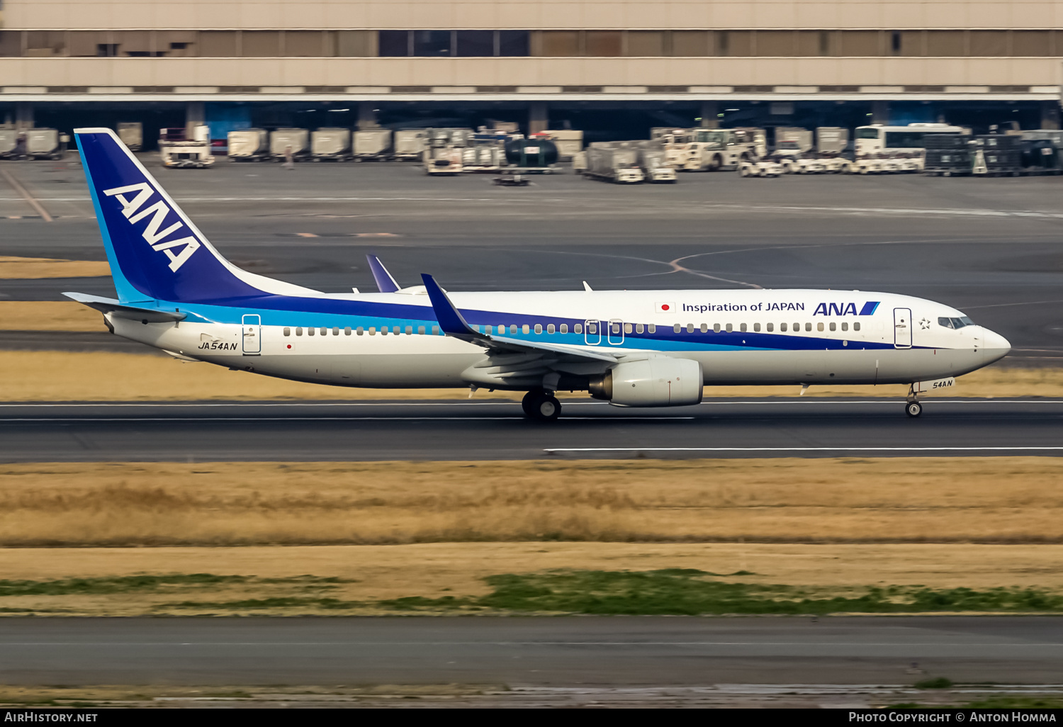 Aircraft Photo of JA54AN | Boeing 737-881 | All Nippon Airways - ANA | AirHistory.net #265249