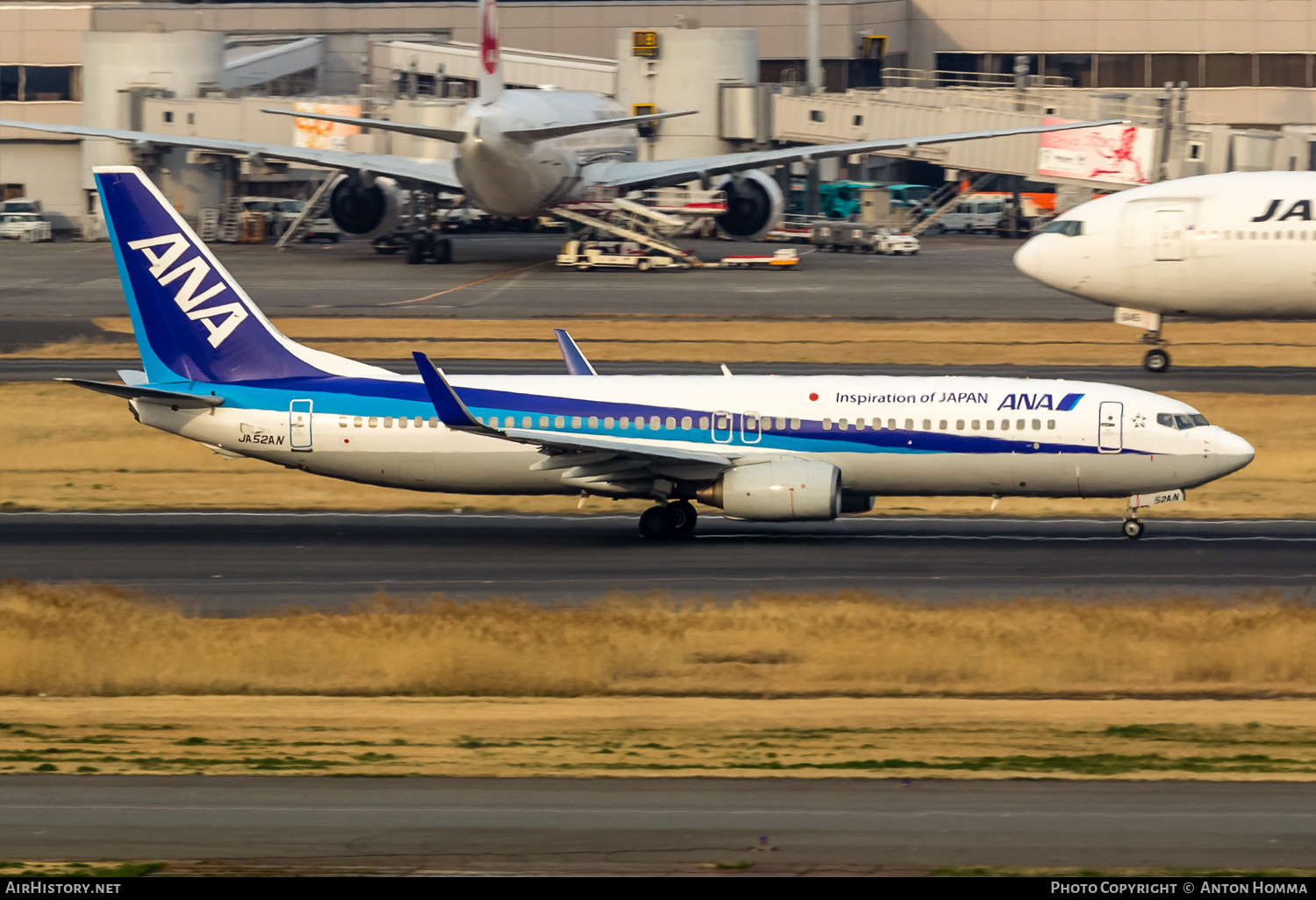 Aircraft Photo of JA52AN | Boeing 737-881 | All Nippon Airways - ANA | AirHistory.net #265250