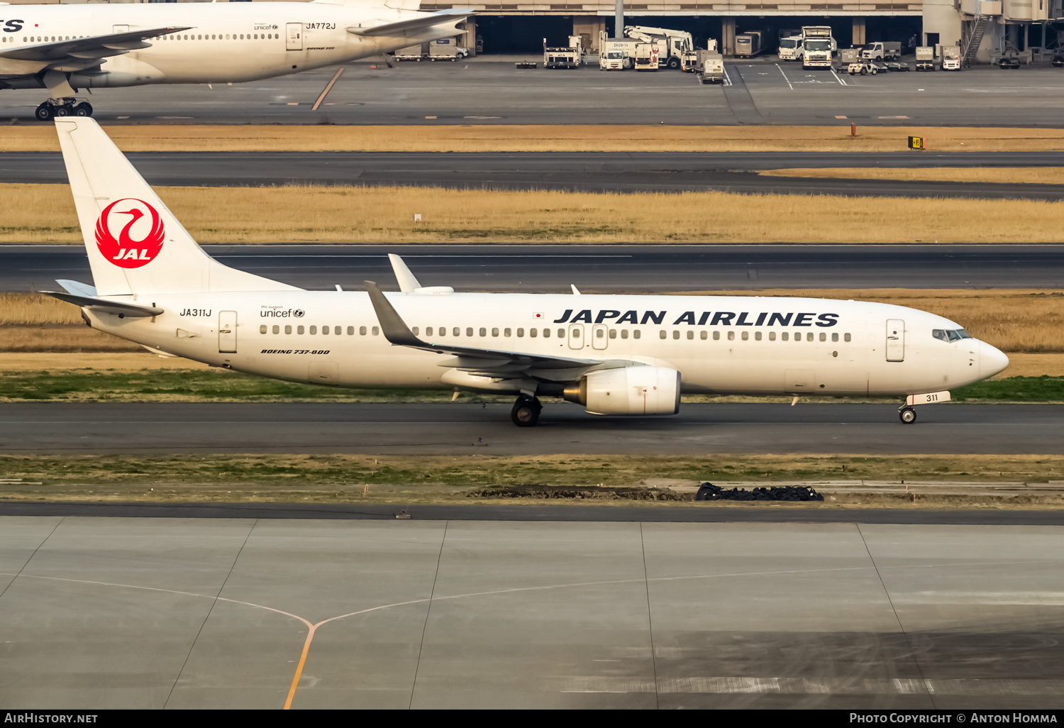 Aircraft Photo of JA311J | Boeing 737-846 | Japan Airlines - JAL | AirHistory.net #265288