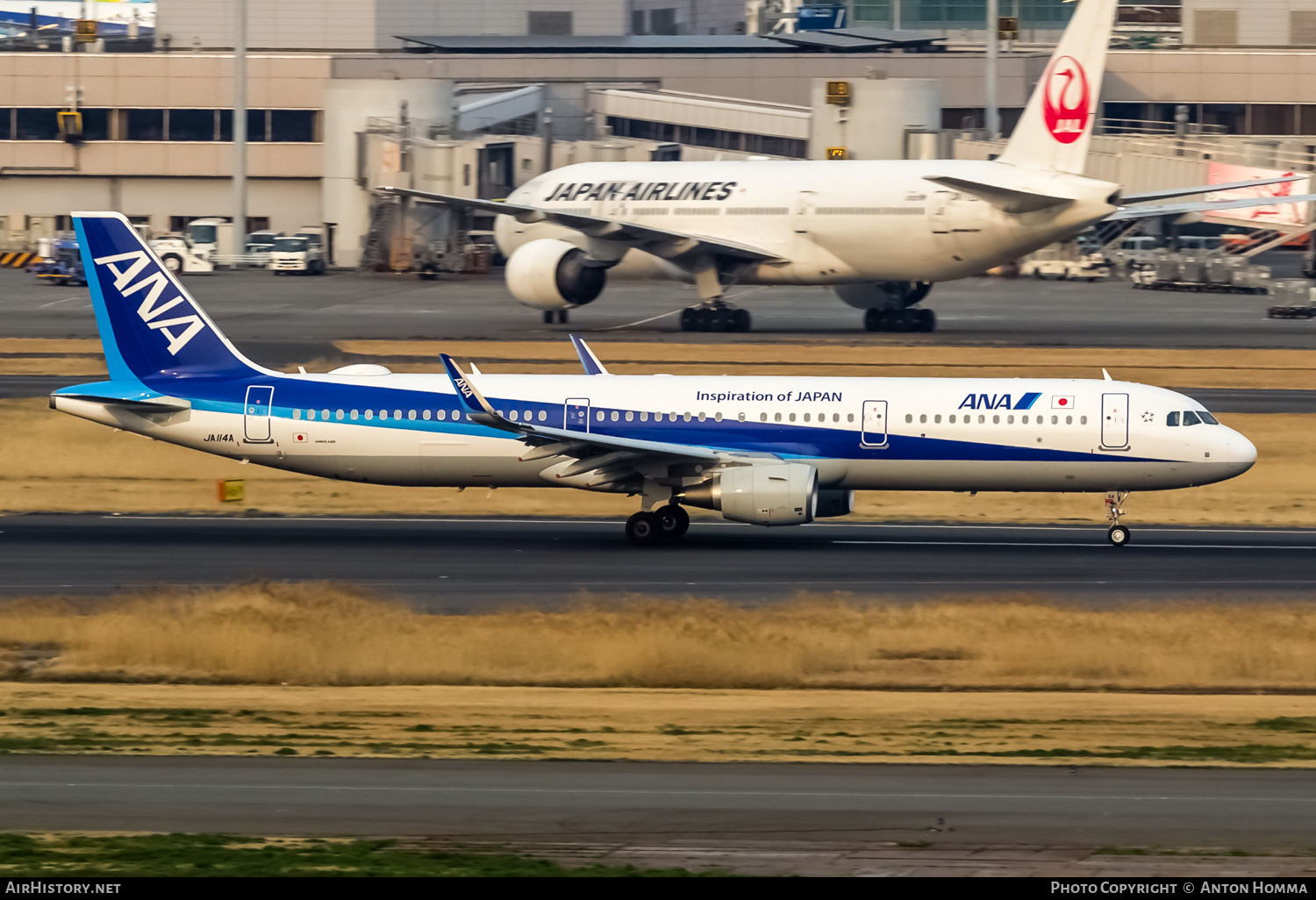 Aircraft Photo of JA114A | Airbus A321-211 | All Nippon Airways - ANA | AirHistory.net #265290