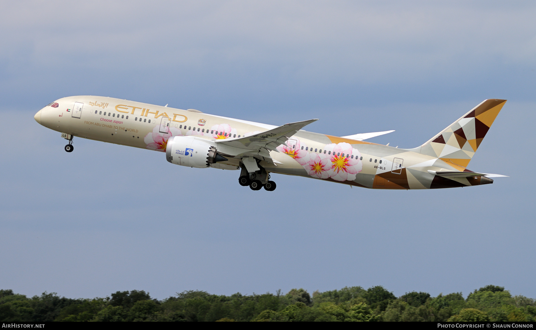 Aircraft Photo of A6-BLS | Boeing 787-9 Dreamliner | Etihad Airways | AirHistory.net #265455
