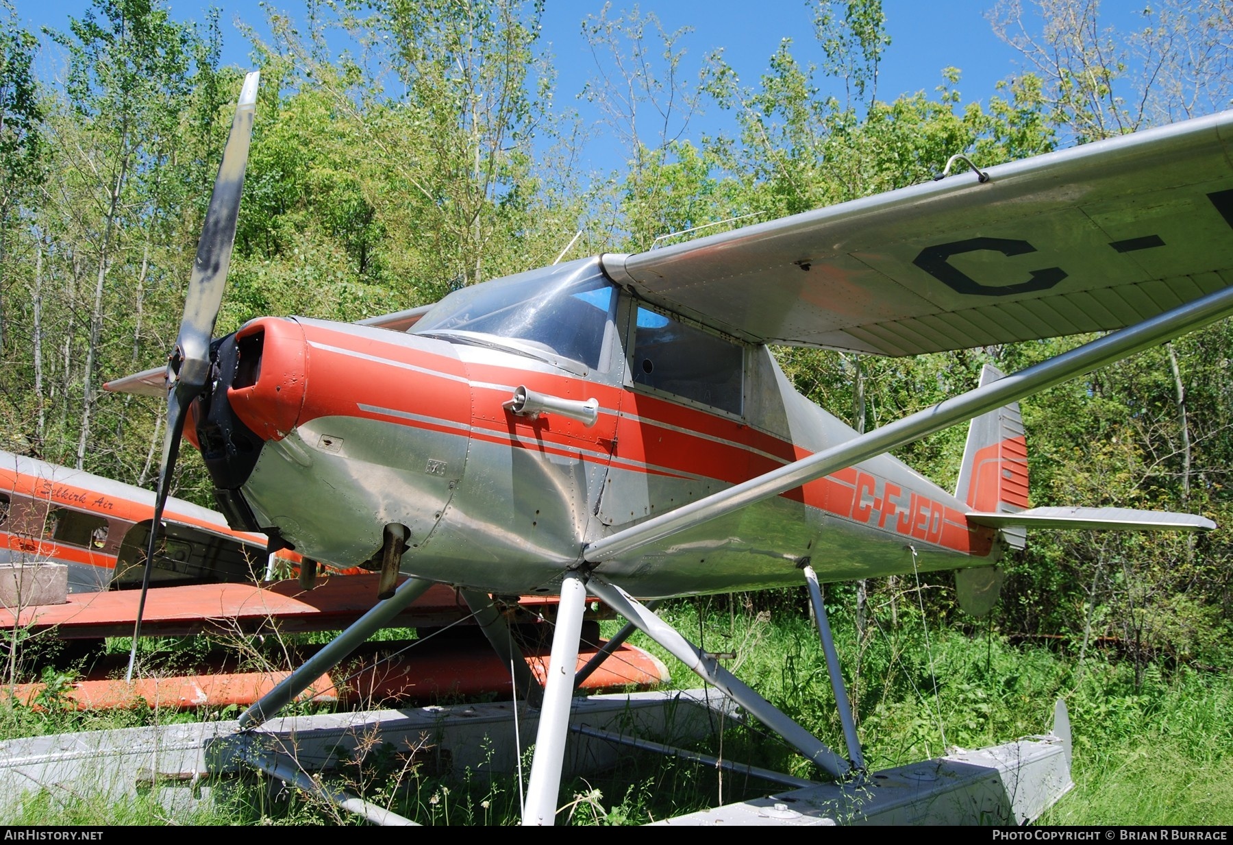 Aircraft Photo of C-FJED | Luscombe 8E Silvaire | AirHistory.net #268011