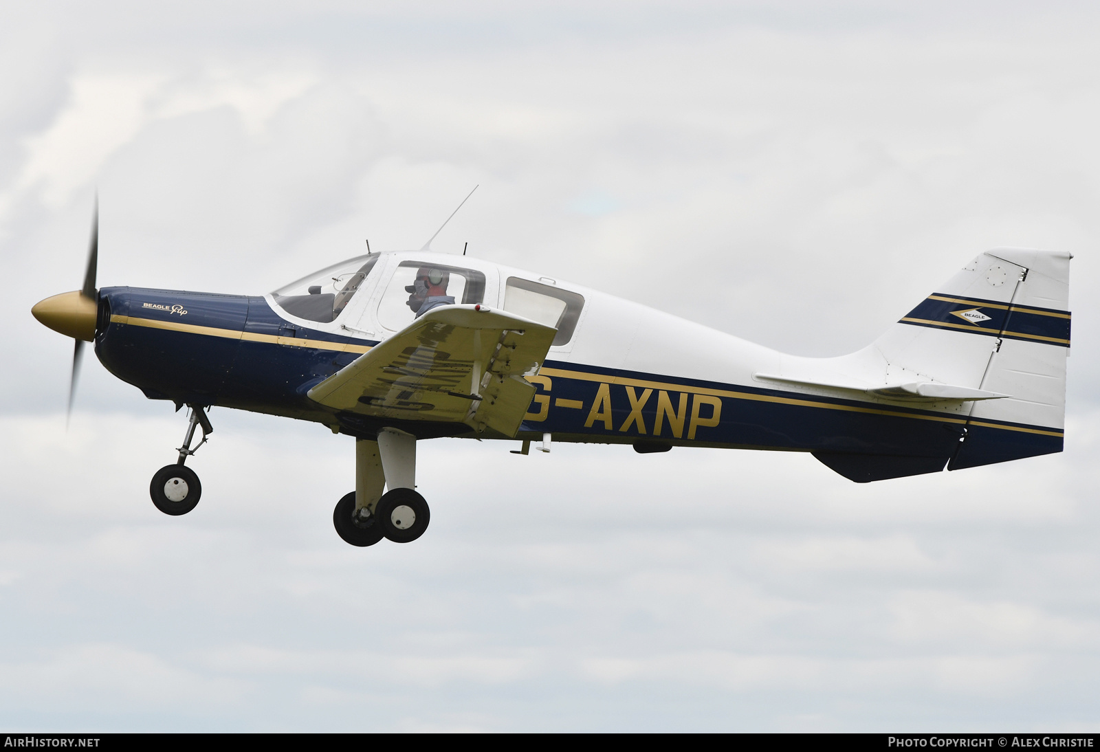 Aircraft Photo of G-AXNP | Beagle B.121 Srs.2 Pup-150 | AirHistory.net #268715