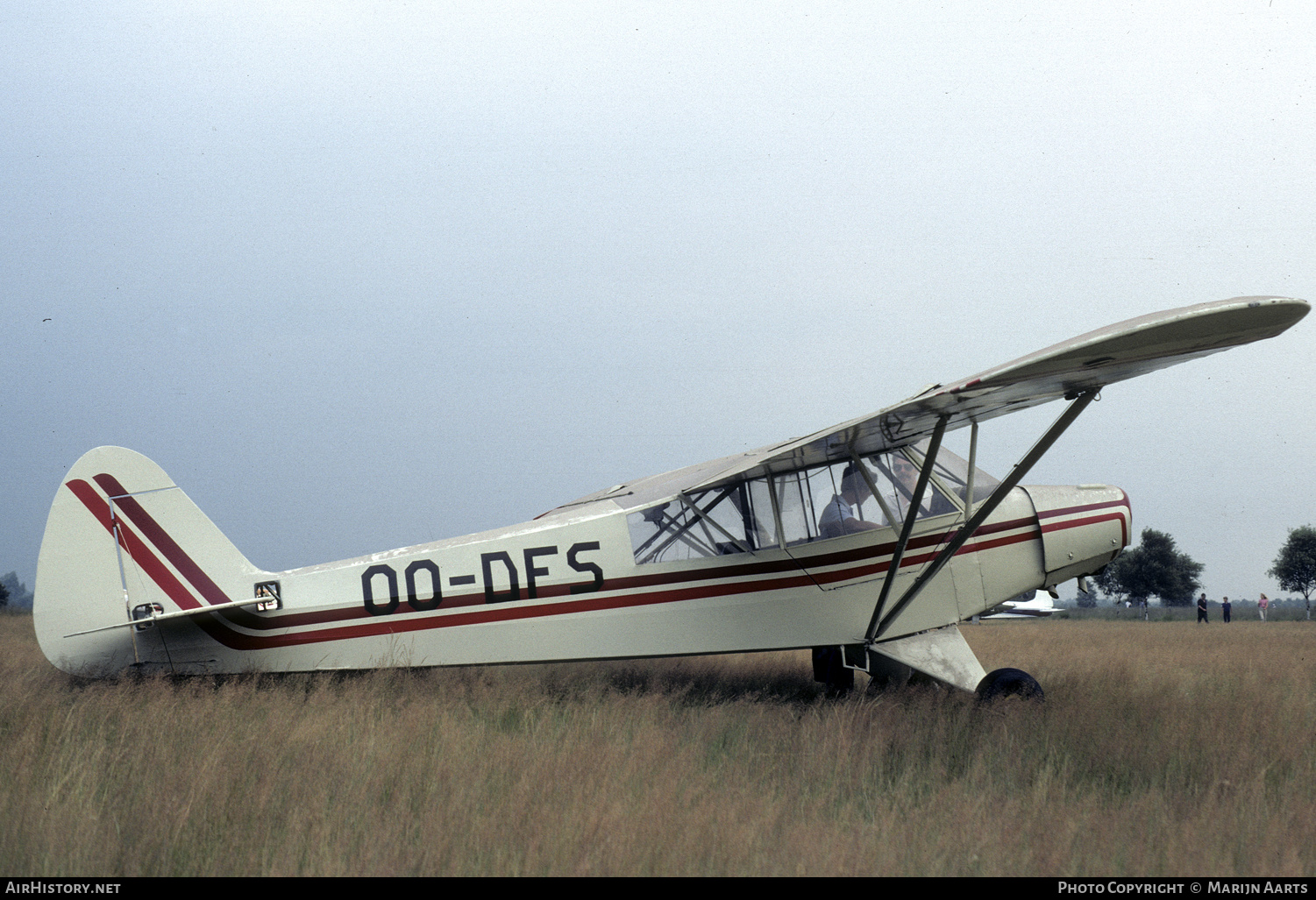 Aircraft Photo of OO-DFS | Piper PA-18-95 Super Cub | AirHistory.net #269869