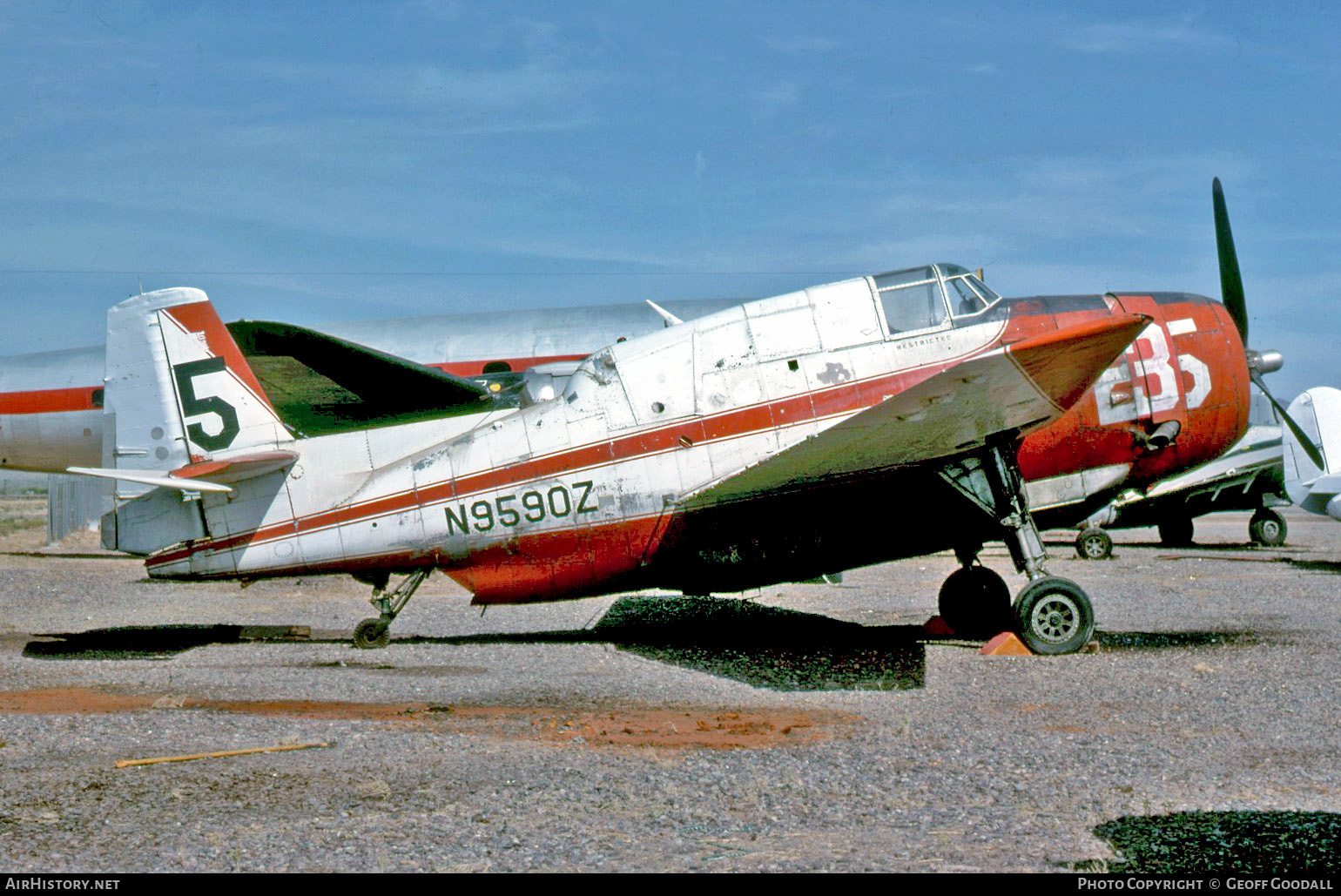 Aircraft Photo of N9590Z | Grumman TBM-3/AT Avenger | AirHistory.net #270333