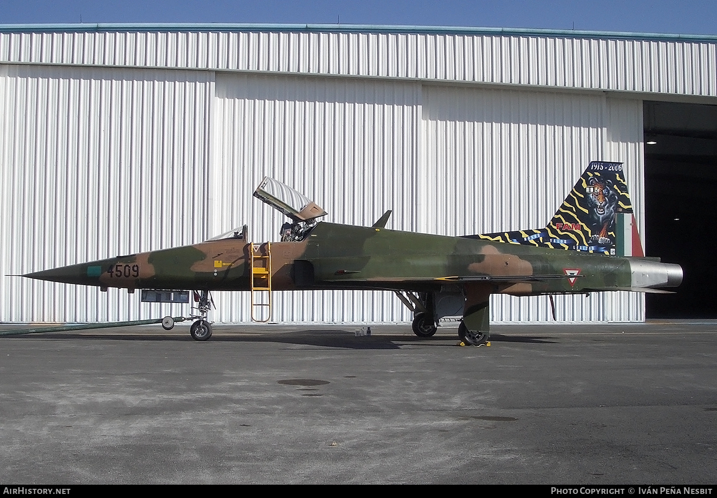 Aircraft Photo of 4509 | Northrop F-5E Tiger II | Mexico - Air Force | AirHistory.net #270837