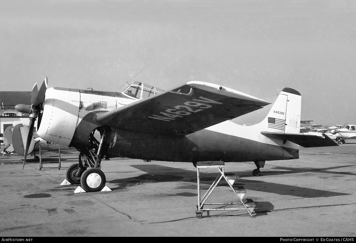 Aircraft Photo of N4629V | Grumman FM-2 Wildcat | AirHistory.net #271843