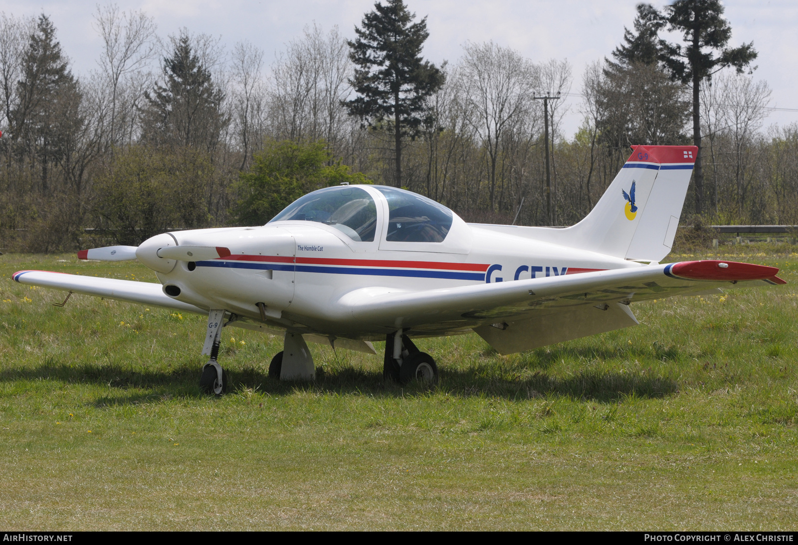 Aircraft Photo of G-CEIX | Alpi Pioneer 300 | AirHistory.net #273178