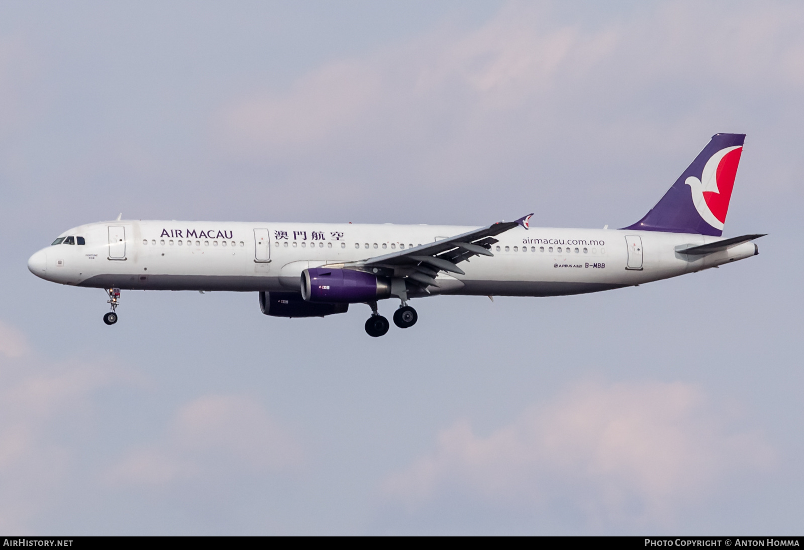 Aircraft Photo of B-MBB | Airbus A321-231 | Air Macau | AirHistory.net #273982