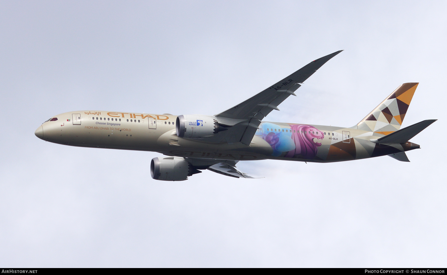 Aircraft Photo of A6-BLR | Boeing 787-9 Dreamliner | Etihad Airways | AirHistory.net #276275