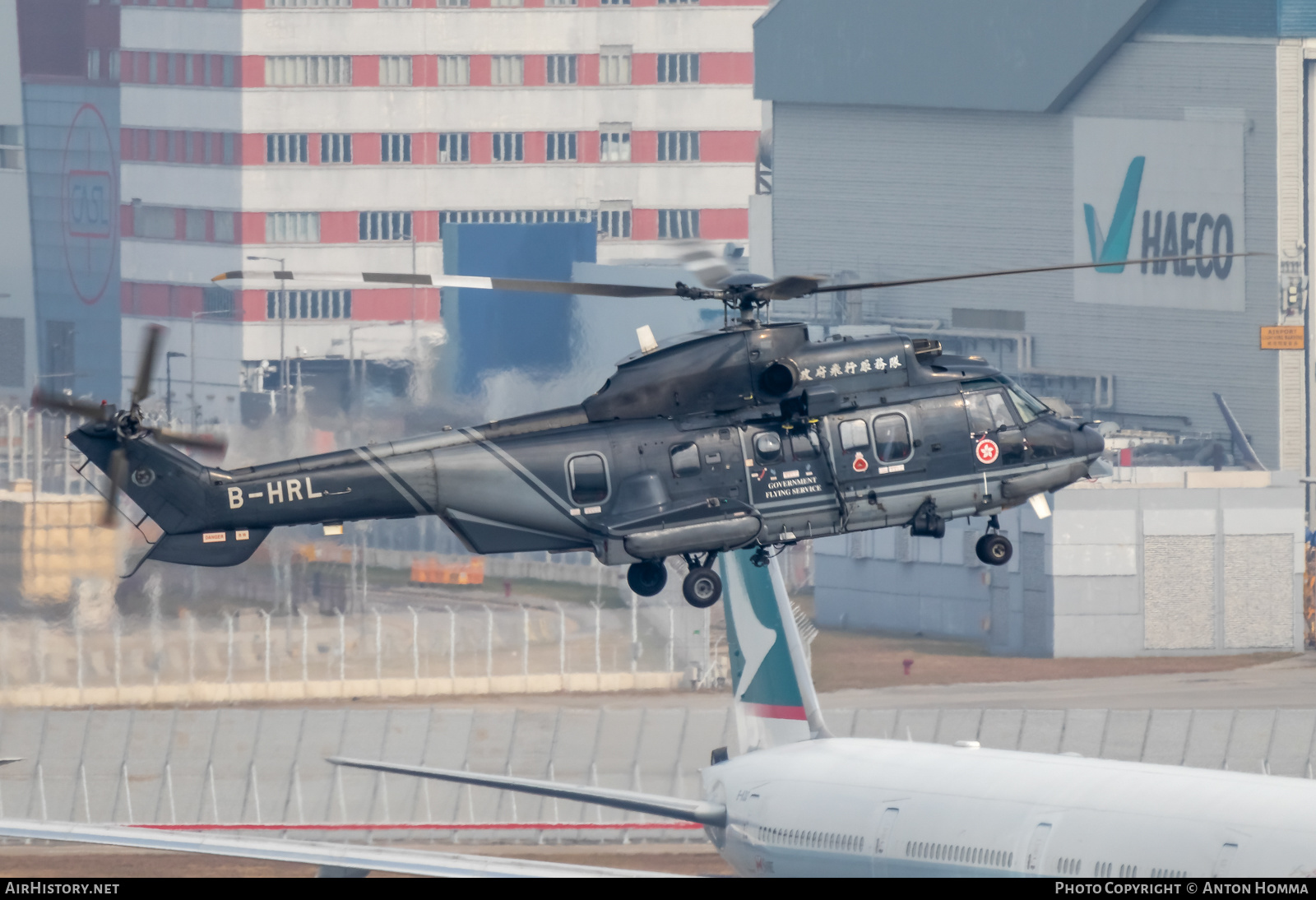 Aircraft Photo of B-HRL | Eurocopter AS-332L2 Super Puma Mk2 | Government Flying Service | AirHistory.net #277317