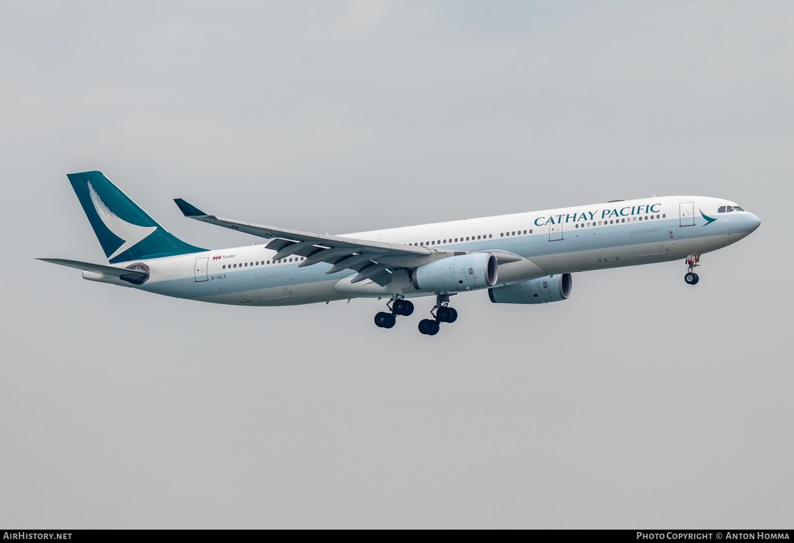 Aircraft Photo of B-HLF | Airbus A330-342 | Cathay Pacific Airways | AirHistory.net #277734