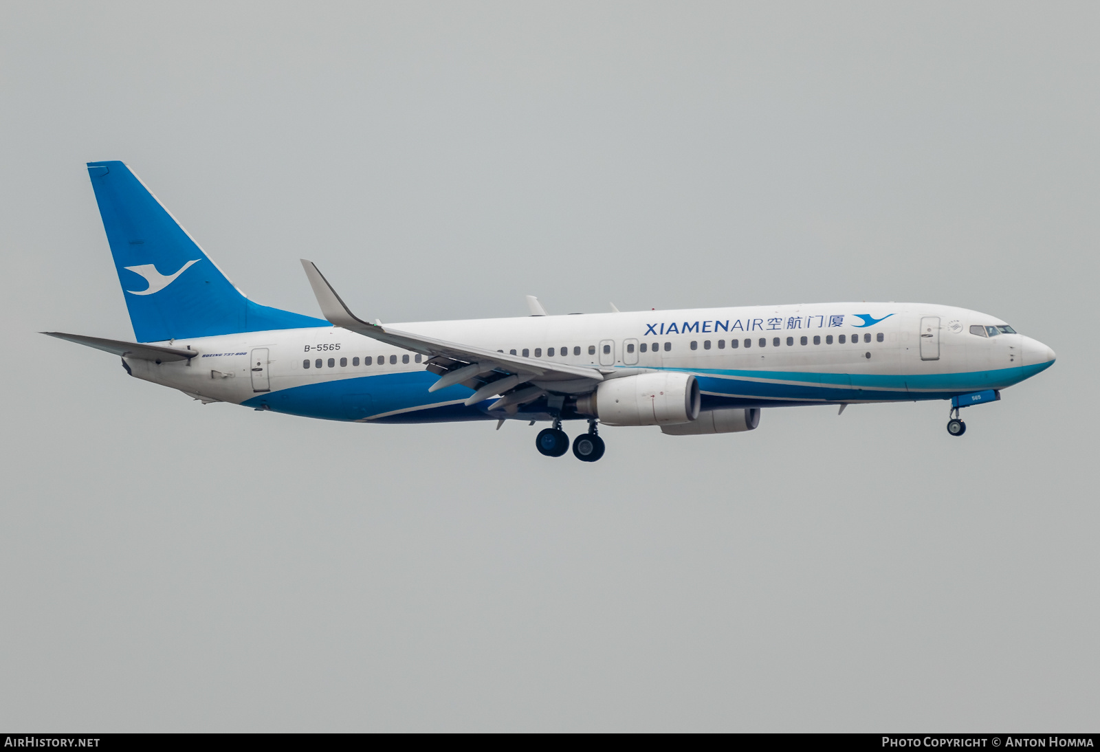 Aircraft Photo of B-5565 | Boeing 737-86N | Xiamen Airlines | AirHistory.net #277737