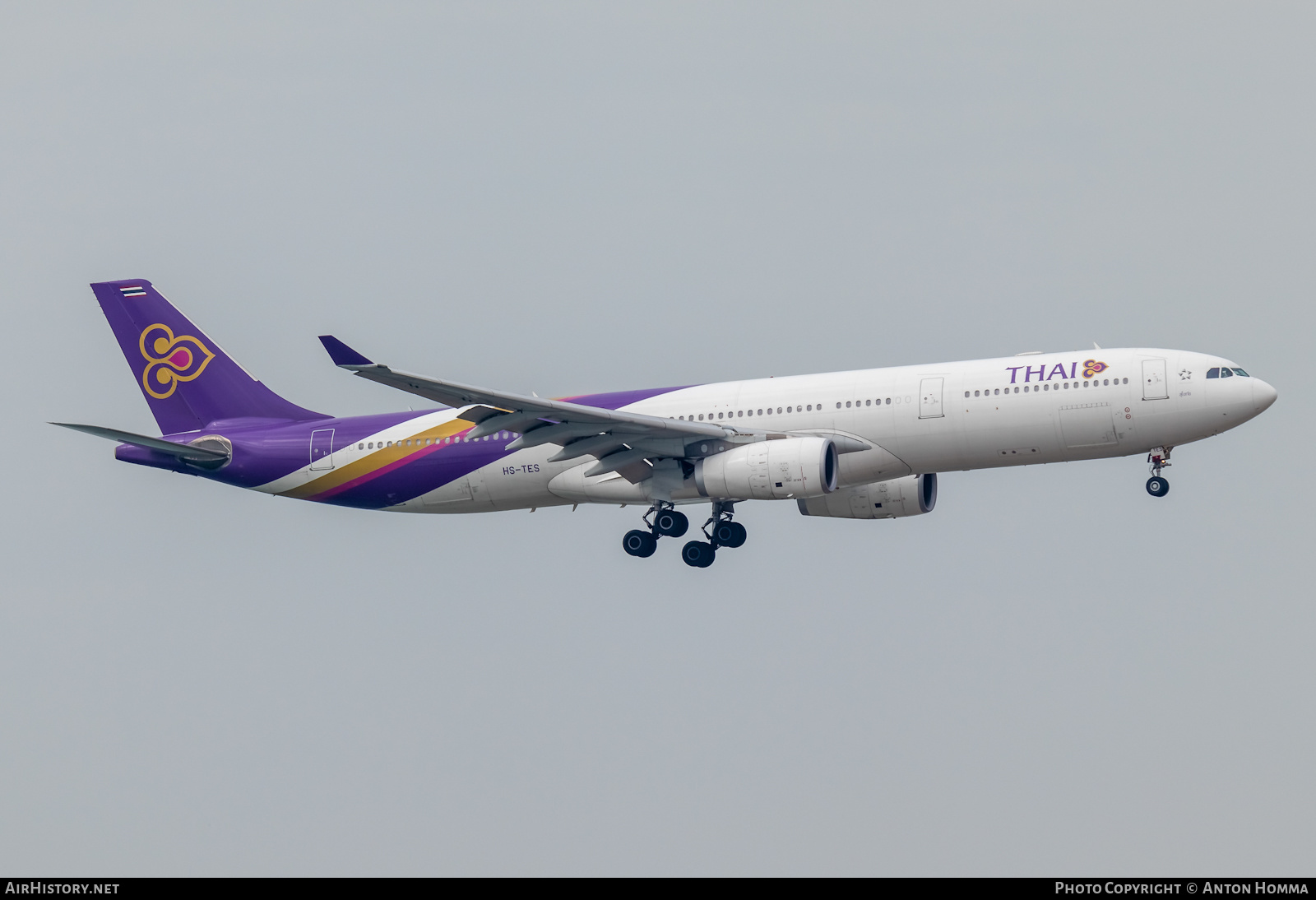 Aircraft Photo of HS-TES | Airbus A330-343E | Thai Airways International | AirHistory.net #277856