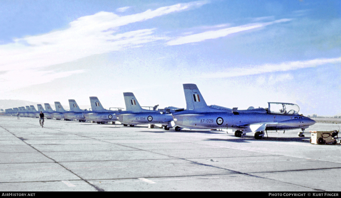 Aircraft Photo of A7-029 | Aermacchi MB-326H | Australia - Air Force | AirHistory.net #277865