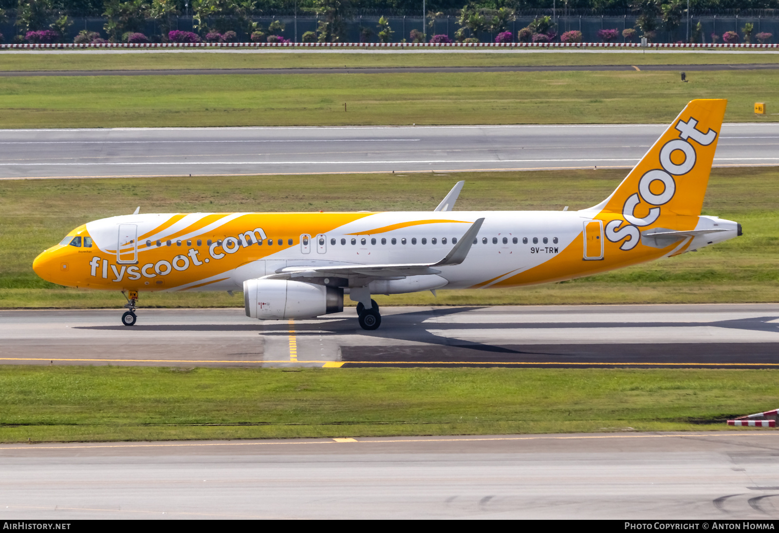 Aircraft Photo of 9V-TRW | Airbus A320-232 | Scoot | AirHistory.net #277959