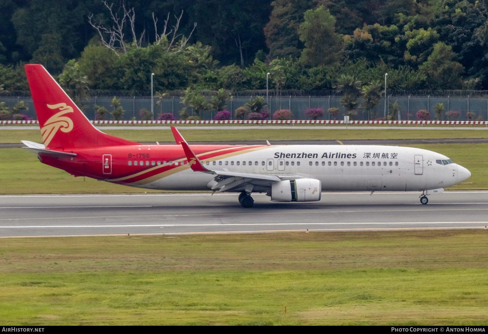 Aircraft Photo of B-1756 | Boeing 737-87L | Shenzhen Airlines | AirHistory.net #277965
