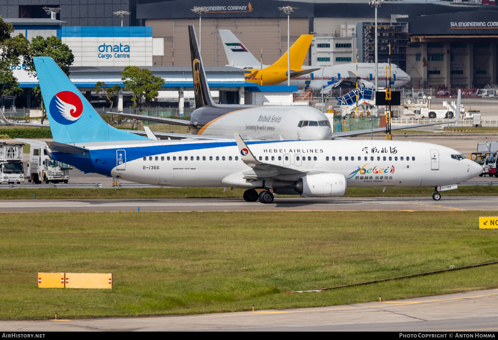 Aircraft Photo of B-1366 | Boeing 737-800 | Hebei Airlines | AirHistory.net #277969