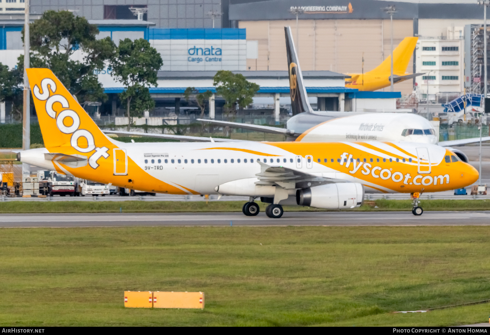 Aircraft Photo of 9V-TRD | Airbus A320-232 | Scoot | AirHistory.net #278031