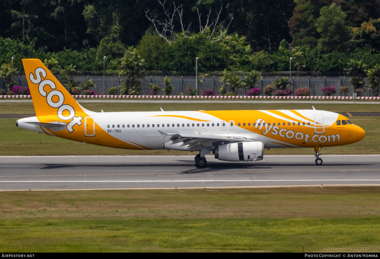Aircraft Photo of 9V-TRU | Airbus A320-232 | Scoot | AirHistory.net #278124