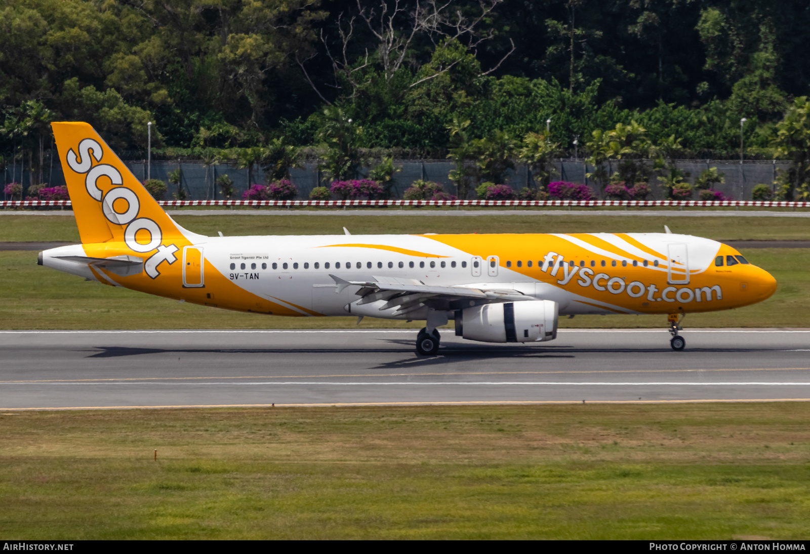 Aircraft Photo of 9V-TAN | Airbus A320-232 | Scoot | AirHistory.net #278126