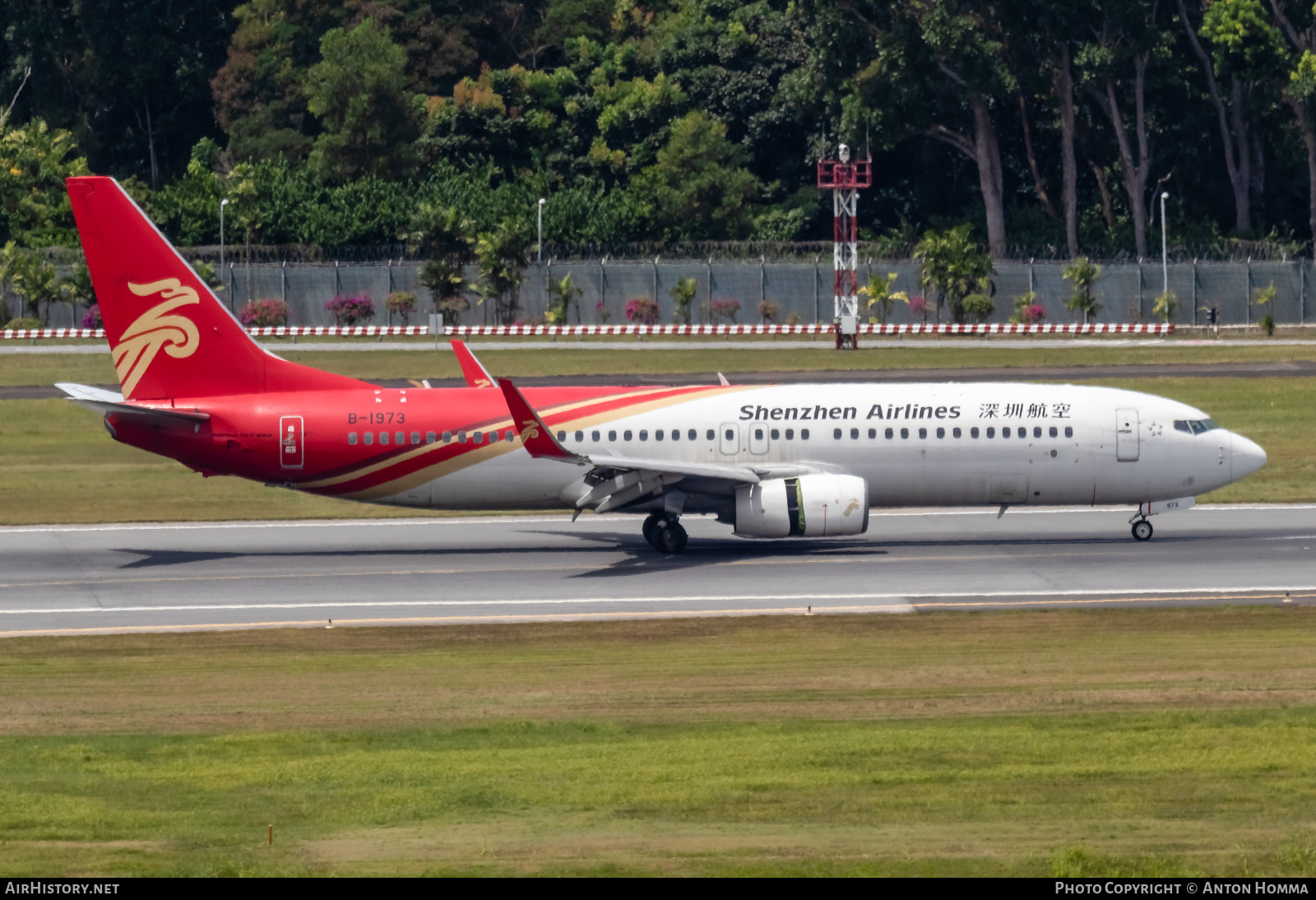 Aircraft Photo of B-1973 | Boeing 737-87L | Shenzhen Airlines | AirHistory.net #278130