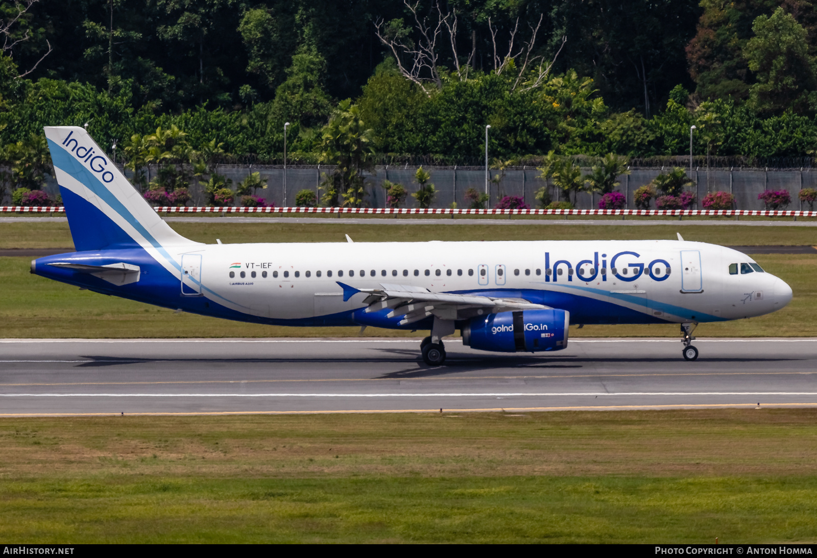 Aircraft Photo of VT-IEF | Airbus A320-232 | IndiGo | AirHistory.net #278135